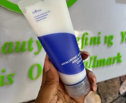 ISN HYALURONIC ACID AQUA GEL CREAM 100ML