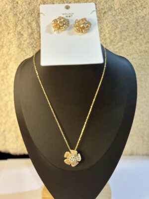 Ladies Necklace and Earrings