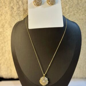 Ladies Necklace and Earring Set